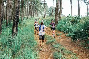 BIB: 
                            <button type="button" onclick="openModal(25654775)" class="btn btn-primary btn-sm float-right btn-popup" data-toggle="modal" data-target=".modal-high-quality">
                        <i class="fas fa-shopping-cart"></i> Add to Cart
                    </button>
                                            <button type="button" onclick="isThisMe(25654775, true)" class="btn btn-success btn-sm float-right btn-popup btn-isme hidden" data-toggle="tooltip" data-placement="bottom" title="นี่คือรูปของคุณใช่ไหม คลิกที่นี่เพื่อเอาเข้าอัลบั้ม">
                        <i class="fas fa-plus"></i> Add to album
                    </button>
                    <button type="button" onclick="isThisMe(25654775, false)" class="btn btn-warning btn-sm float-right btn-popup btn-isnotme hidden">
                        <i class="fas fa-ban"></i> Remove from album
                    </button>